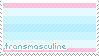 Transmasculine Flag