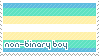 Non-Binary Boy Flag